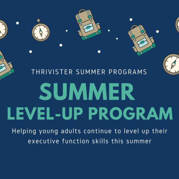 summer level-up program